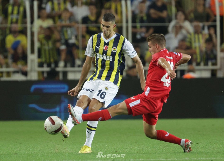 他的全能表 他的全能表